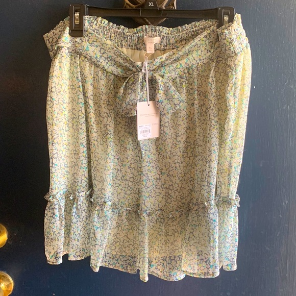 Floral Chiffon Skirt - Picture 1 of 3